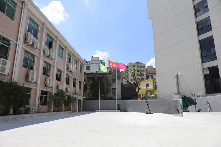 互联网数据服务与信息软件全链路研发 从技术维护到信息咨询的实践指南